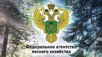 ��������� ��������� �������� �������������� �������� �� �������� ���������������� ������� ��������� �������