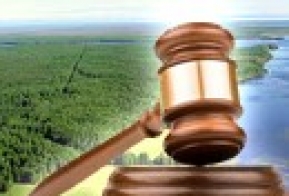 Информация об аукционах на право заключения договоров купли-продажи лесных насаждений в электронной форме