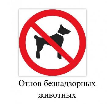 Об организации отлова животных без владельцев  в 2023 году на территории Кировской области