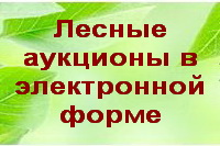 ����������  � ���������� ��������� � ����������� ���� �� ����� ���������� �������� ������ ������� �������, ������������ � ��������������� �������������