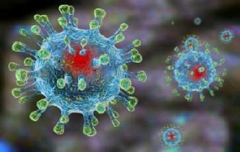 Число выздоровевших от коронавируса увеличилось до 856 человек